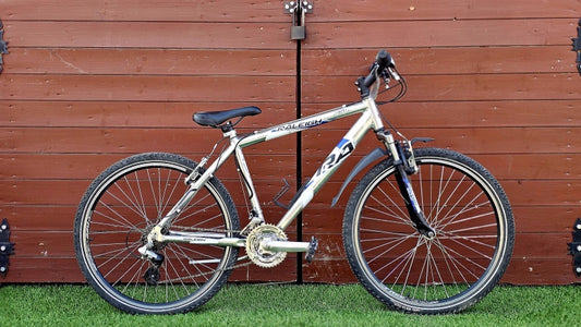 Raleigh Silver
